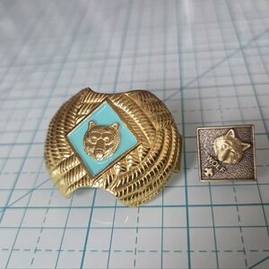 Cub Scouts BEAR slide And Pin
